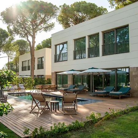 Ethno Belek-2